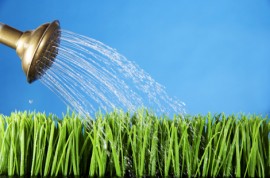 watering-lawn